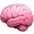 brain-icon