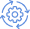 Clinical Workflows